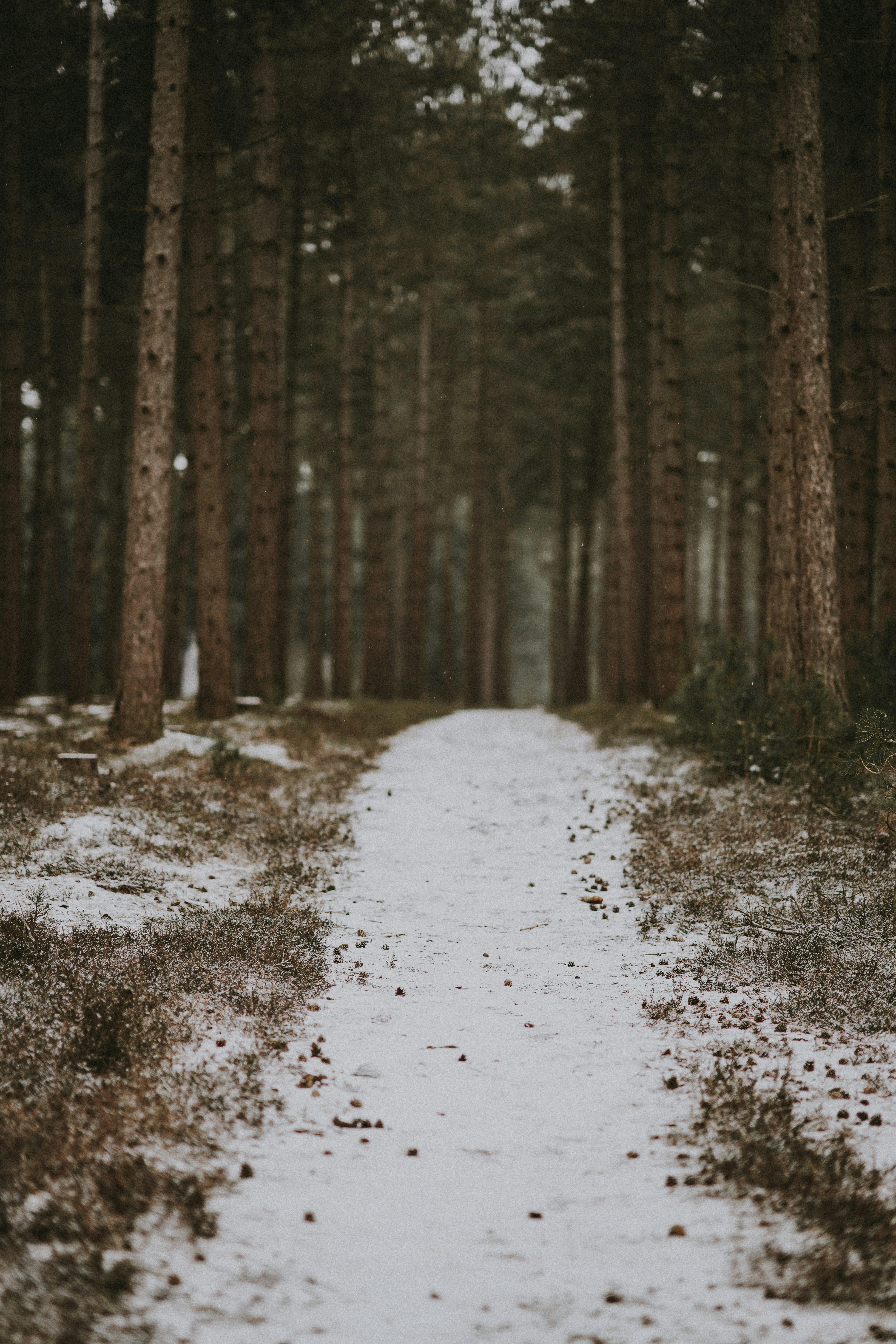 Photo by anniespratt