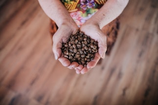 selective focus photography of person holding coffee beans