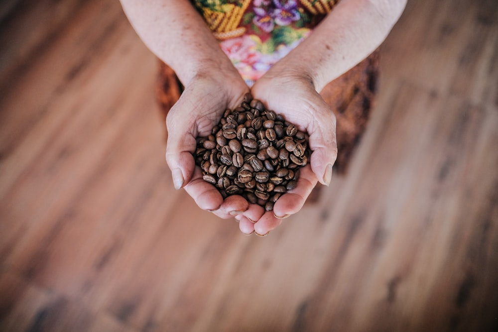 fotografía de enfoque selectivo de una persona sosteniendo granos de café