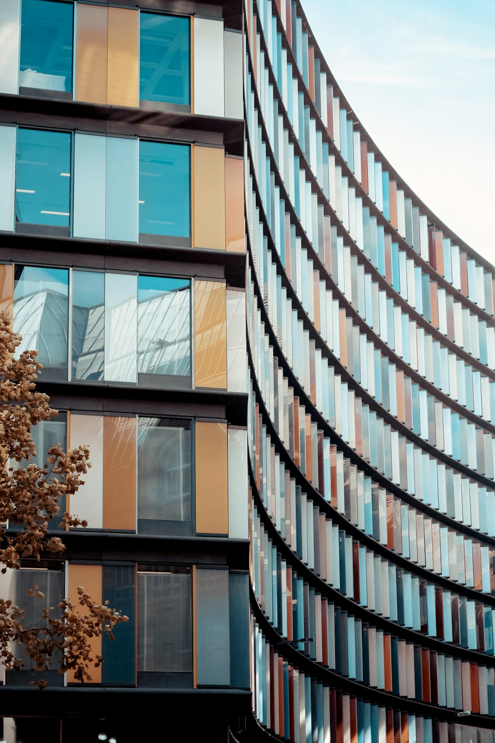 a tall building with many windows next to a tree