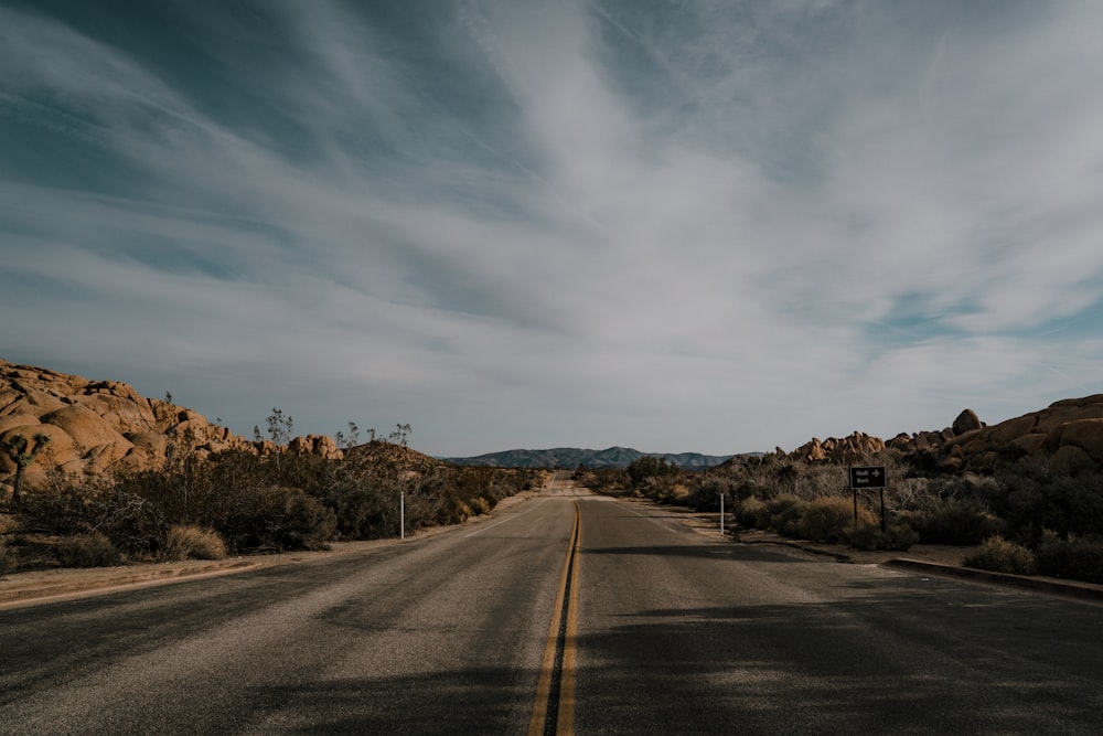 Carretera recta de hormigón vacía rodeada de árboles