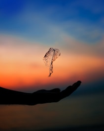 silhouette of left arm and leaf during golden hour