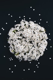 white flower bouquet