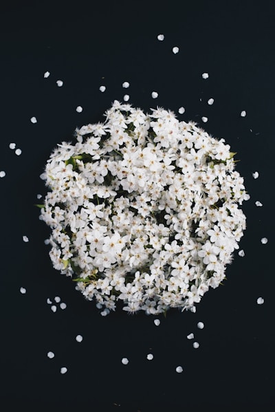 white flower bouquet