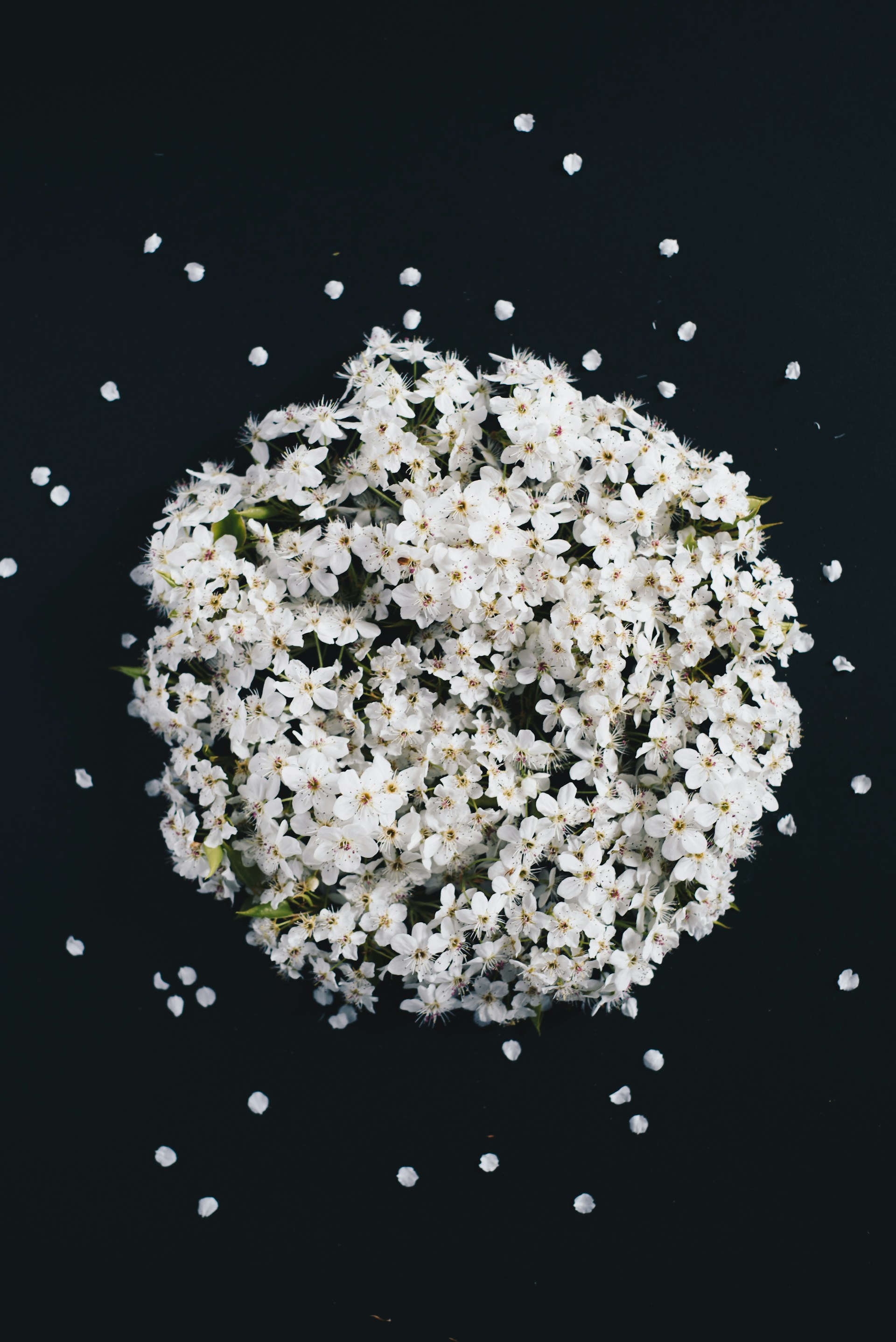 white flower bouquet