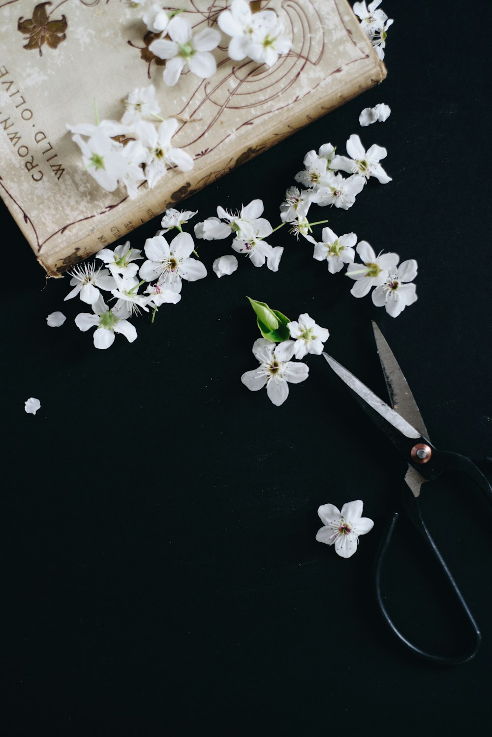 white flowers, book, and scissors on table