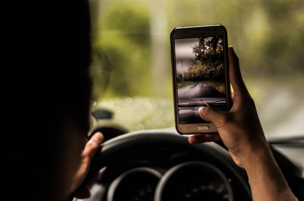 person taking a photo of trees