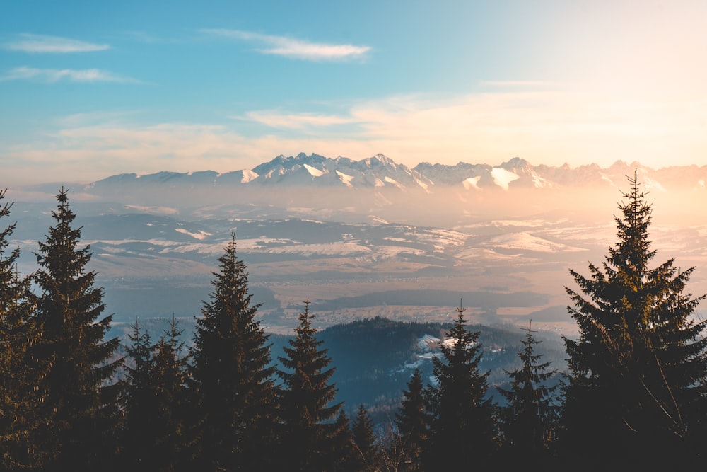 photographie de paysage de montagne pendant la journée