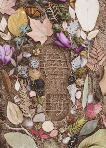 assorted flowers and leaves on sand with shoe mark