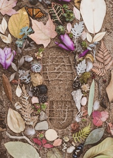 assorted flowers and leaves on sand with shoe mark