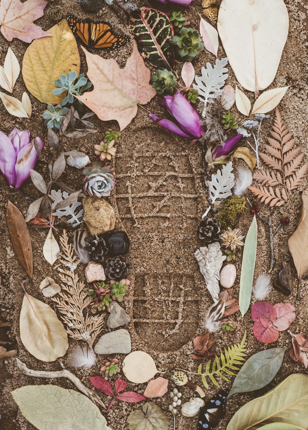 verschiedene Blumen und Blätter auf Sand mit Schuhabdruck