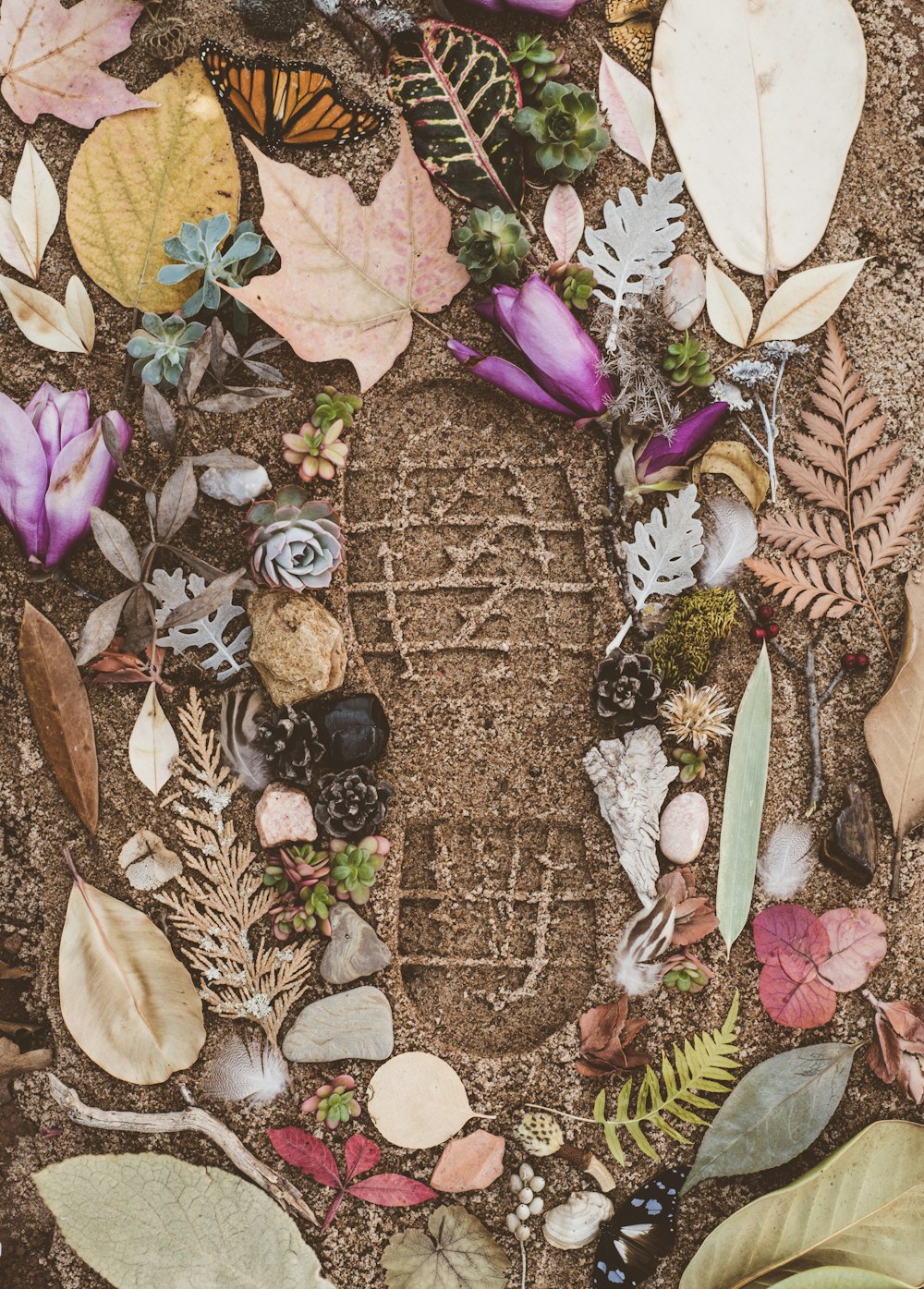 flores e folhas variadas na areia com marca de sapato