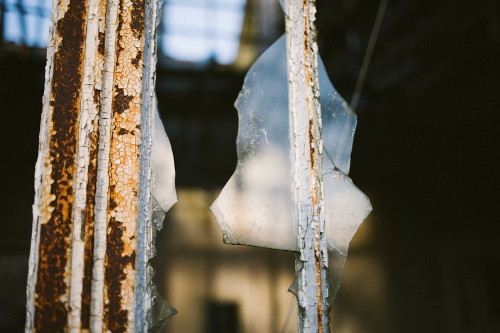 selective focus photography of broken glass