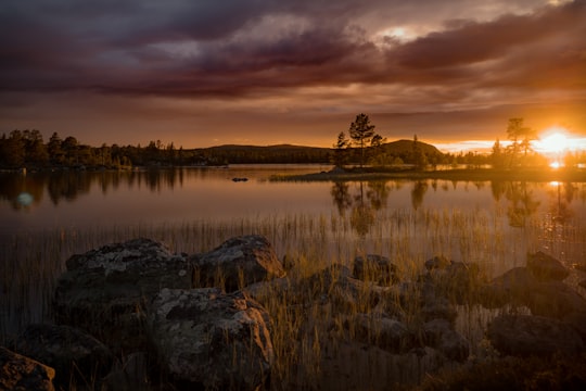 body of water near trees at sunset in Härjedalen Sweden