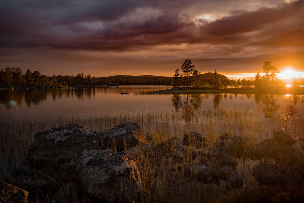 body of water near trees at sunset