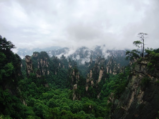 top view of forest and mountains in Zhangjiajie National Forest Park China