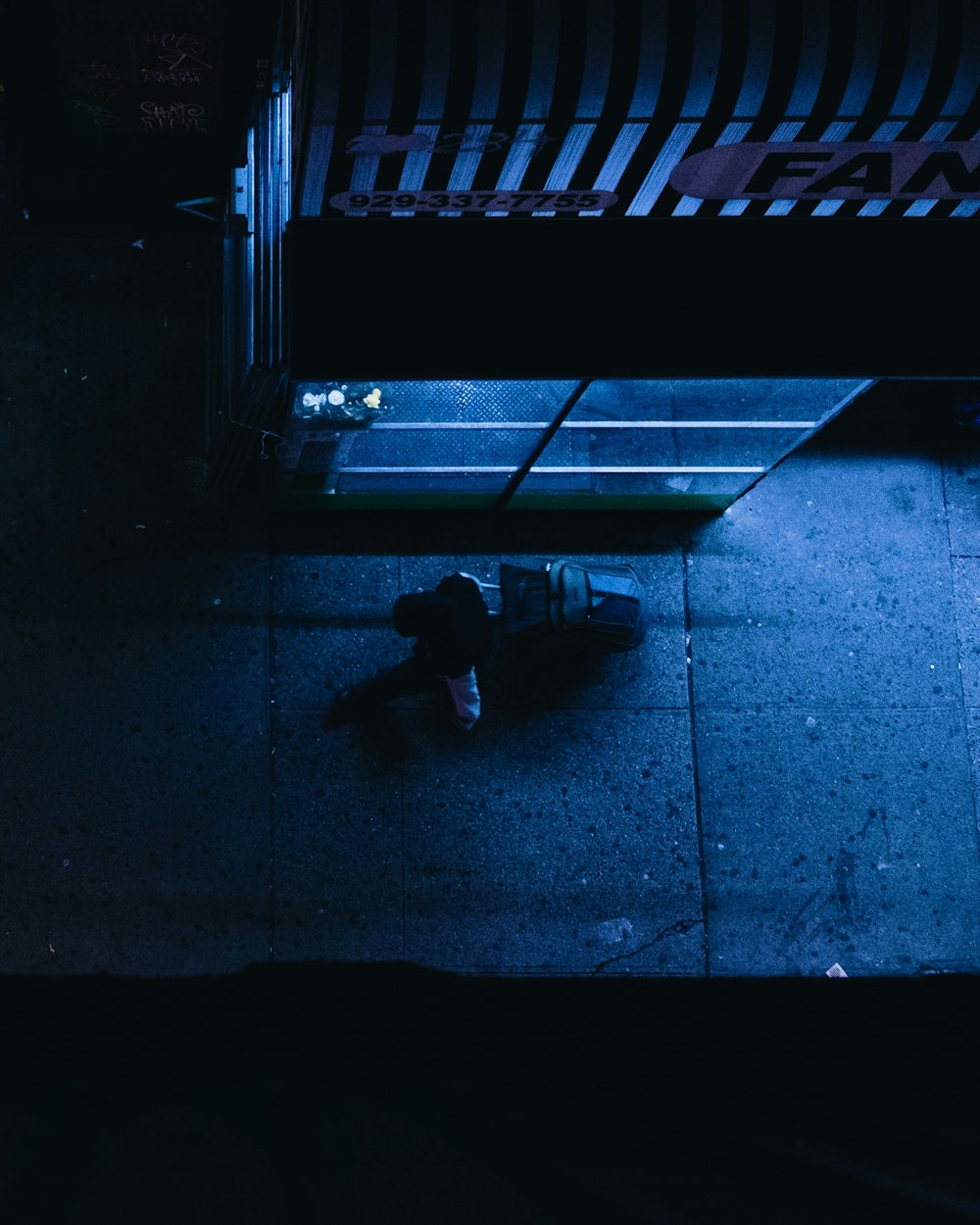 person pulling luggage on road