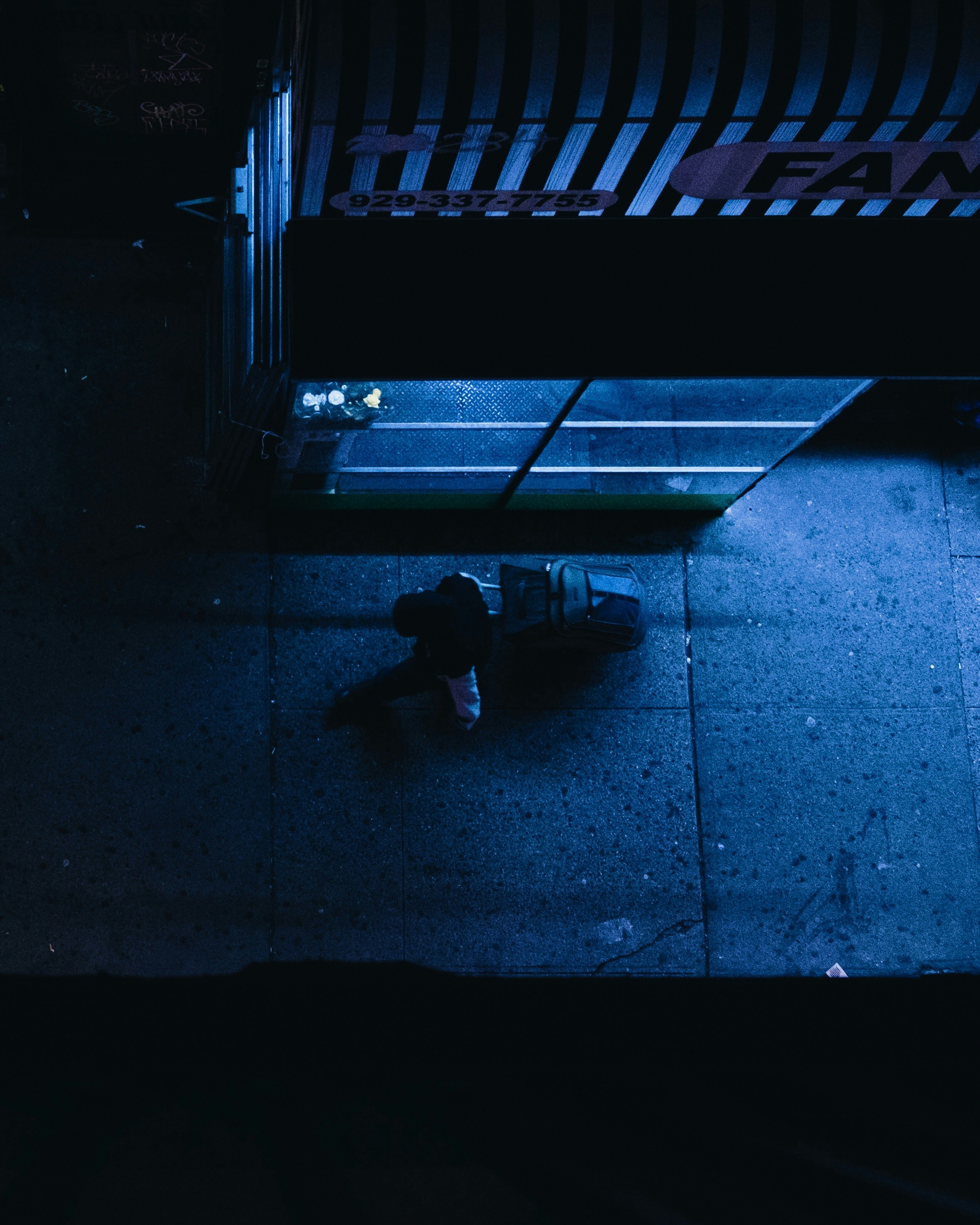 person pulling luggage on road