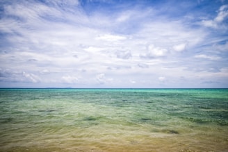 A serene seascape with a vast expanse of calm ocean waters extending towards the horizon. The sky is partly cloudy with soft, white clouds scattered across a blue sky, creating a peaceful and tranquil atmosphere.