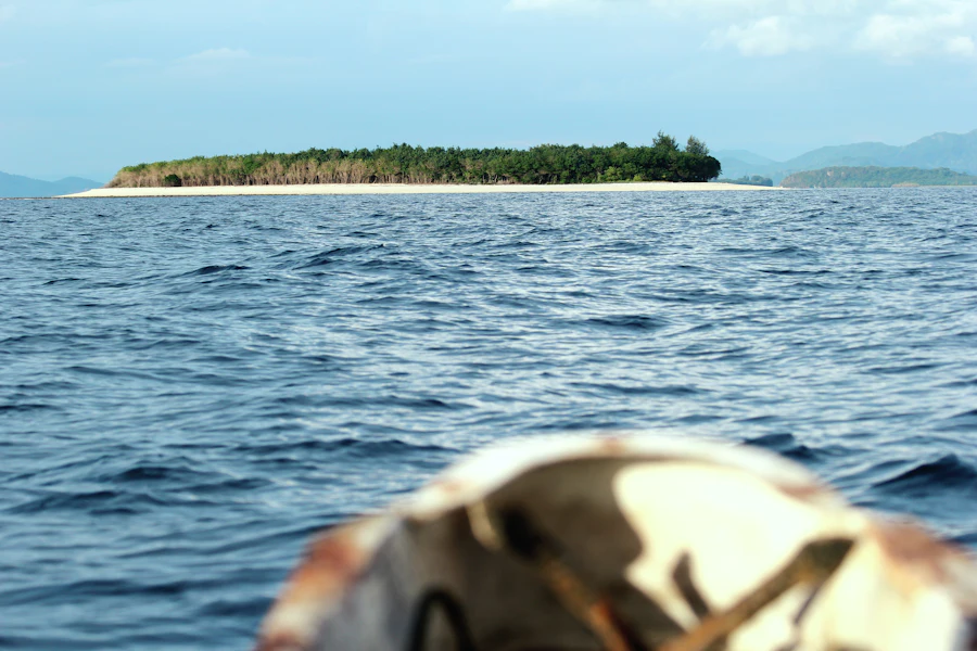 A small islet with trees, surrounded by sea