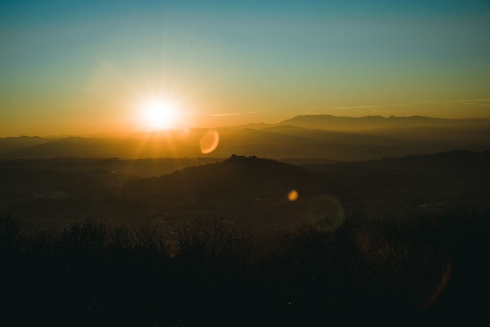 grass on mountain during sunset