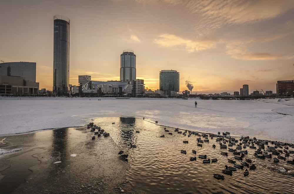 frozen lake beside city