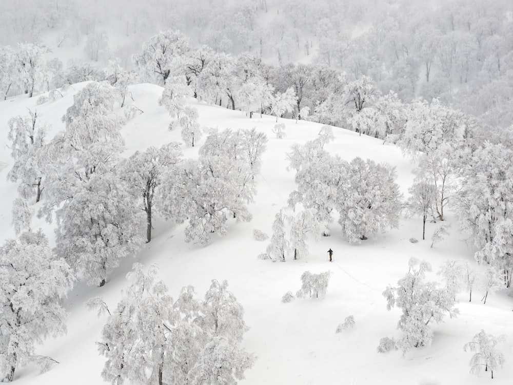 person walking on glacier mountain