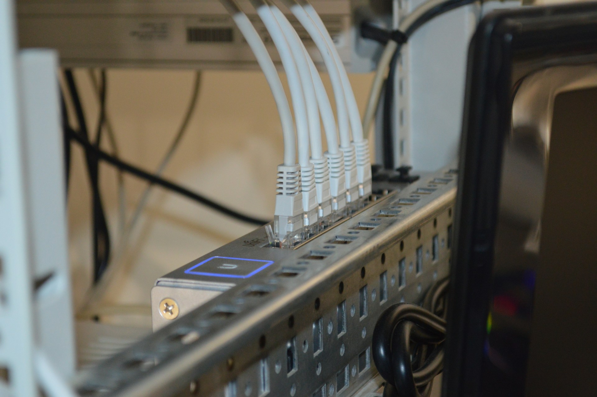 Local Networking Protocols - DNS, DHCP, ARP