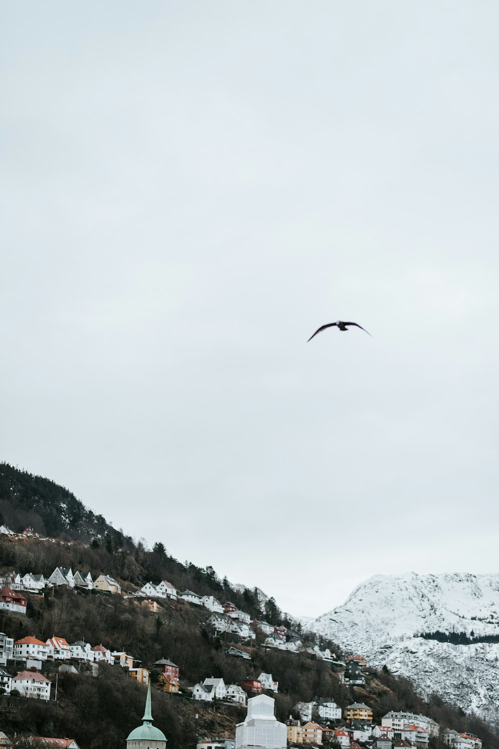 uccello che sorvola il villaggio sotto il cielo nuvoloso