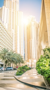 Tall skyscrapers with modern architecture tower into a clear blue sky. The sun shines brightly between the buildings, casting light onto the palm trees and greenery below. Cars are parked along a gently curved driveway, bordered by landscaped gardens.