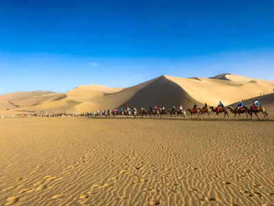 Camel caravan trekking across vast desert landscapes with clear blue skies.