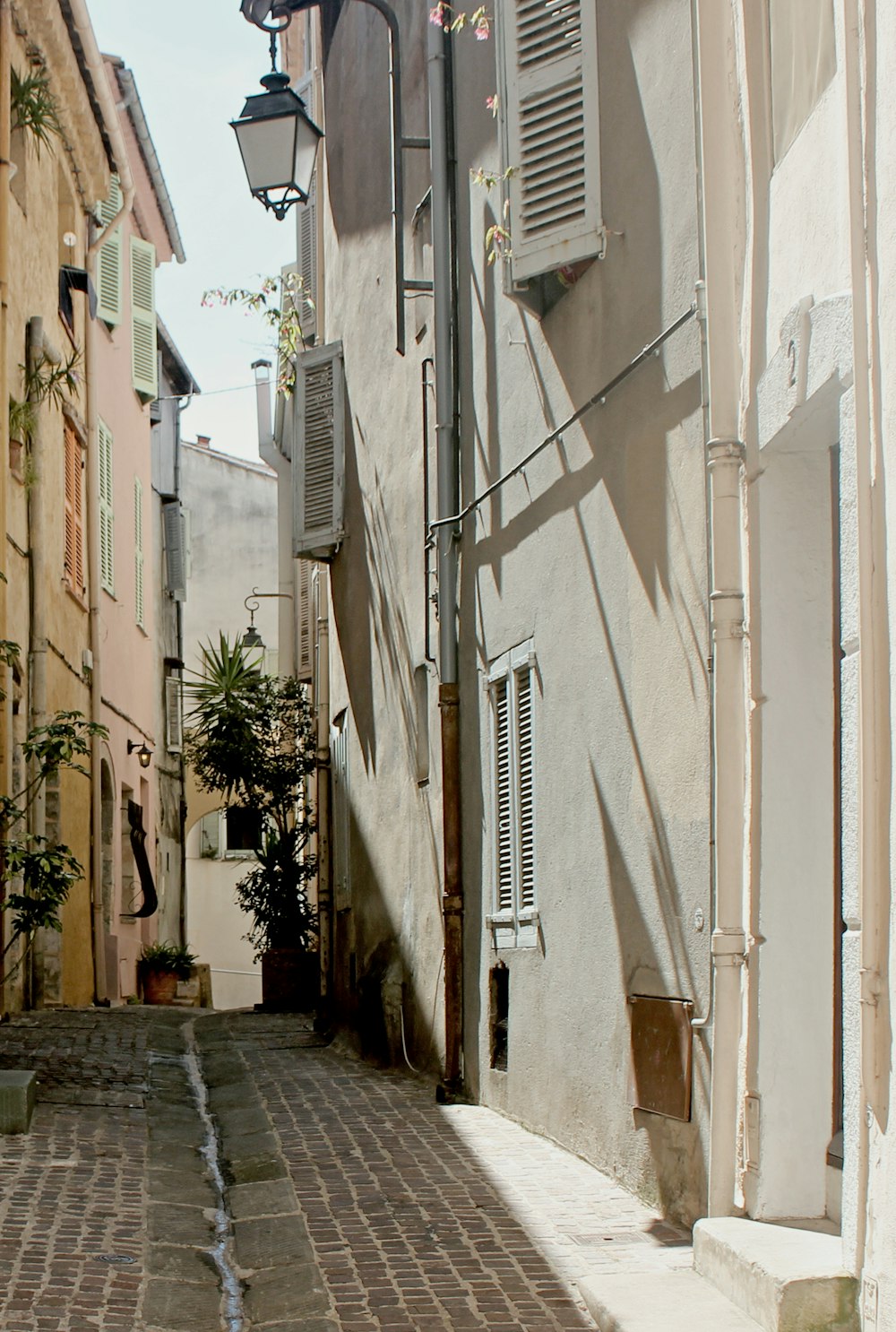 Graue Straßenlaterne in der Nähe von grüner Blattpflanze