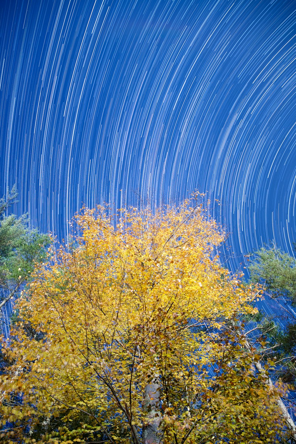 timelapse photography of sky