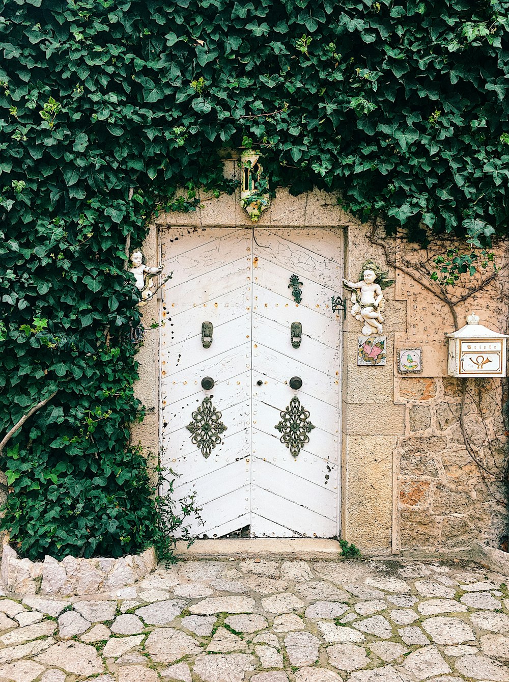 puerta cerrada con plantas verdes en la pared
