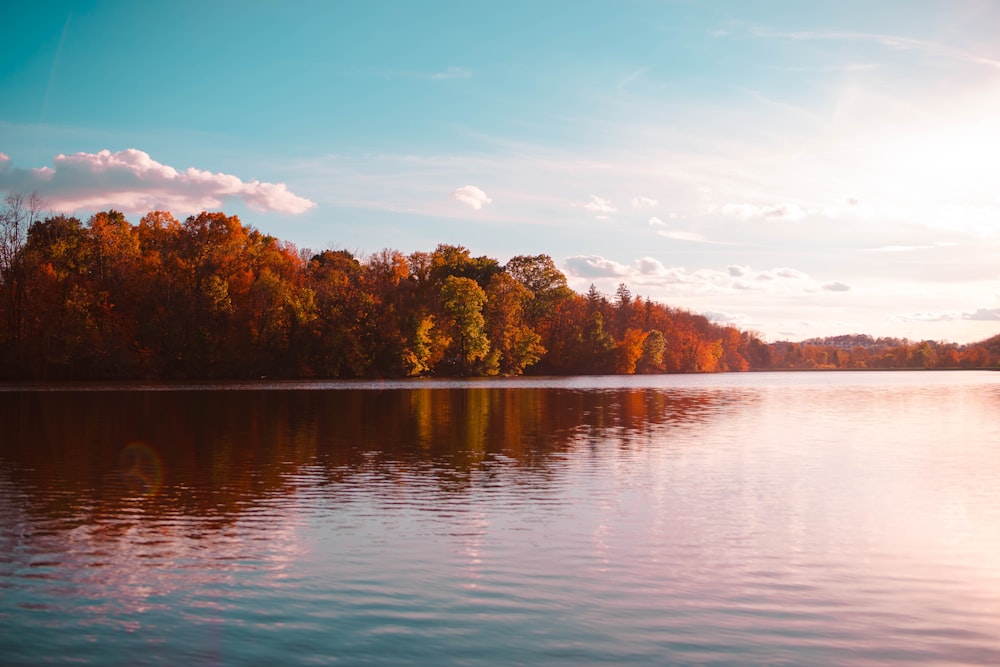 worm's eyeview of body of water