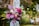 A vibrant floral arrangement featuring a variety of colorful flowers, including pink, purple, and white blooms, is set against a lush green natural backdrop. The bouquet is tied to a wooden frame with a white cloth, and soft, warm bokeh lights create a dreamy atmosphere in the background.