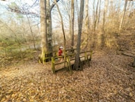 Runner crossing a scenic bridge surrounded by autumn leaves.