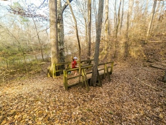Runner crossing a scenic bridge surrounded by autumn leaves.