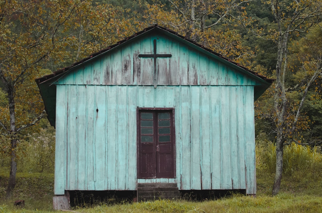 blue and brown wooden house closed