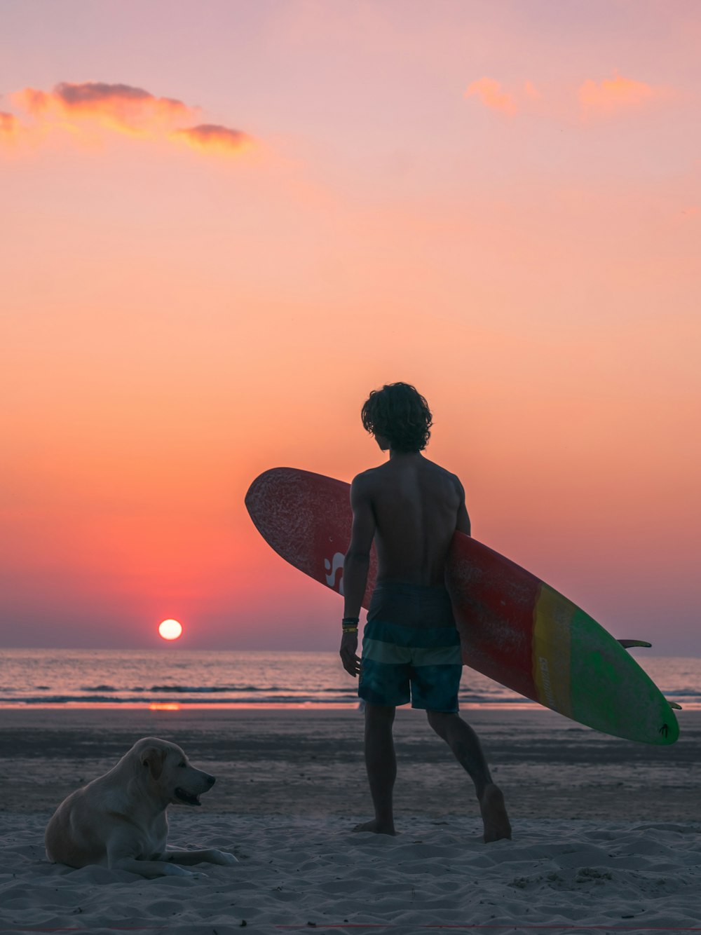 man walking towards beach with surfboard near yellow Labrador retriever laying on beach sand