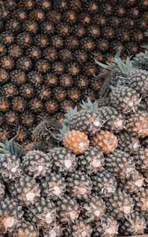 pineapple lot