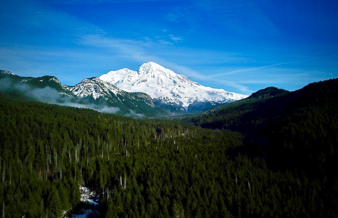 Hill station photo spot Mount Rainier Tolmie Peak Fire Lookout