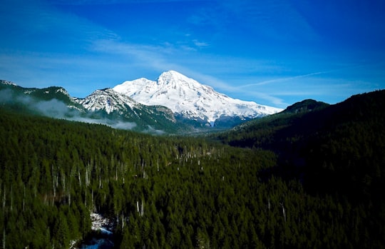 landscape photography of forest against alps mountain in Mount Rainier United States