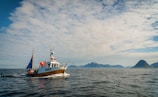 A fishing boat at sea with fresh frozen tuna on deck under a clear blue sky.