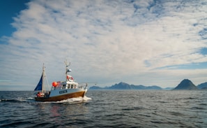 A fishing boat at sea with fresh frozen tuna on deck under a clear blue sky.