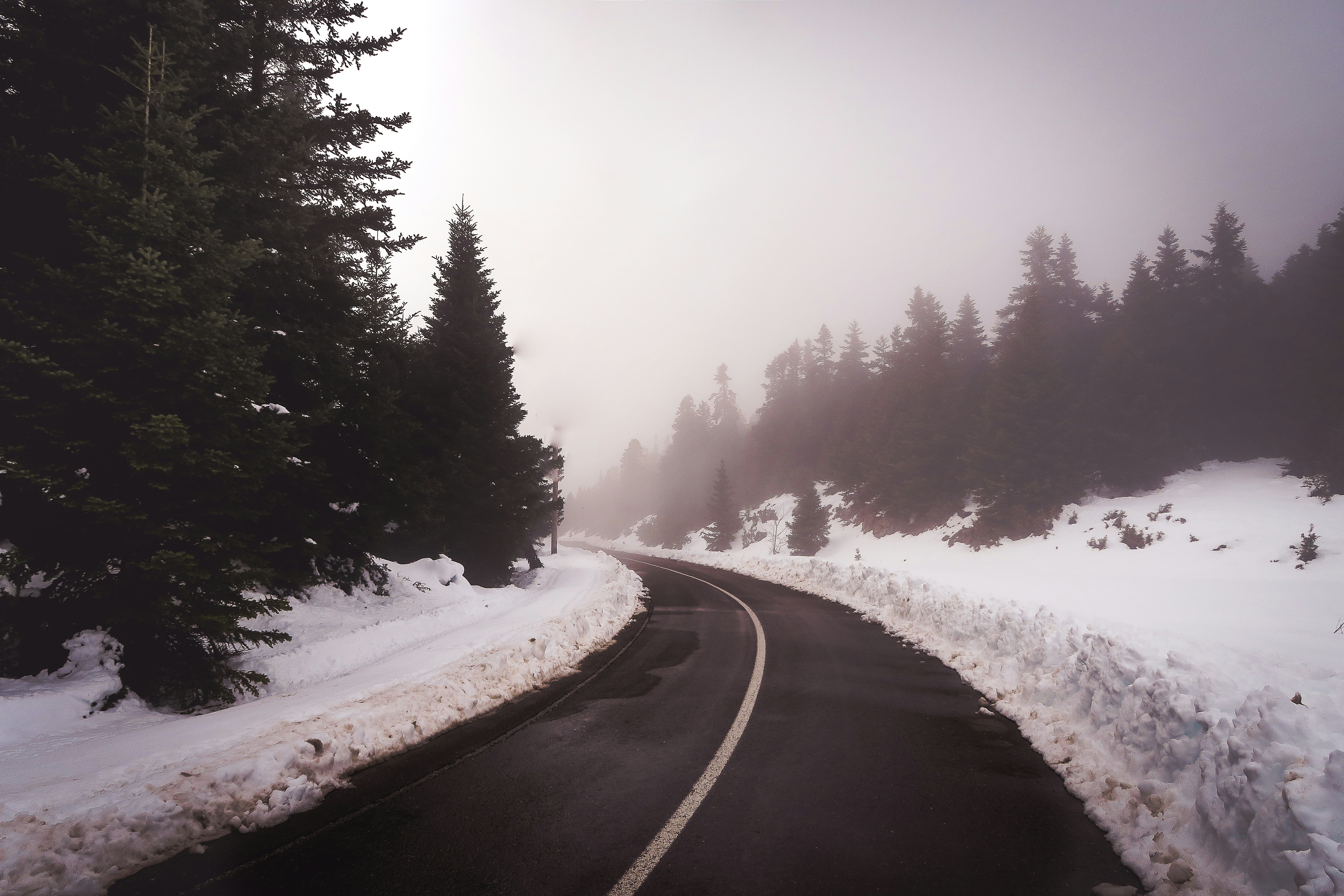 road near snow and trees