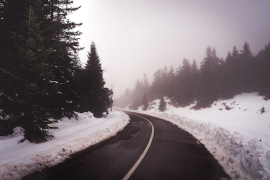 road near snow and trees in Phocis Greece