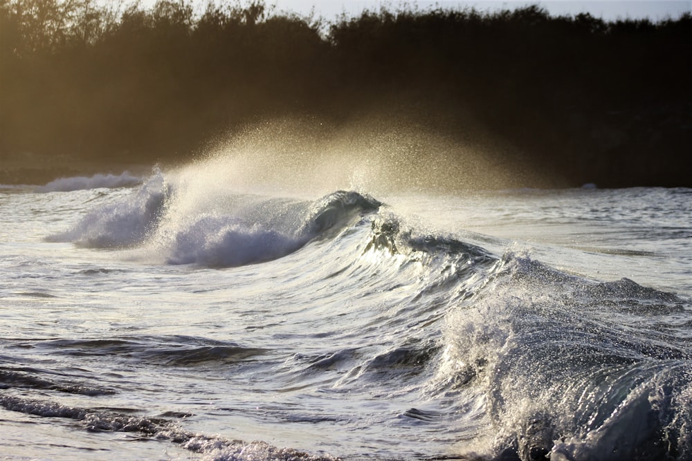 ocean waves on shore