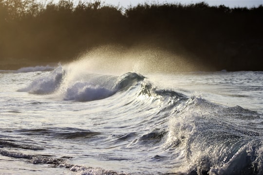 ocean waves on shore in Kauai United States