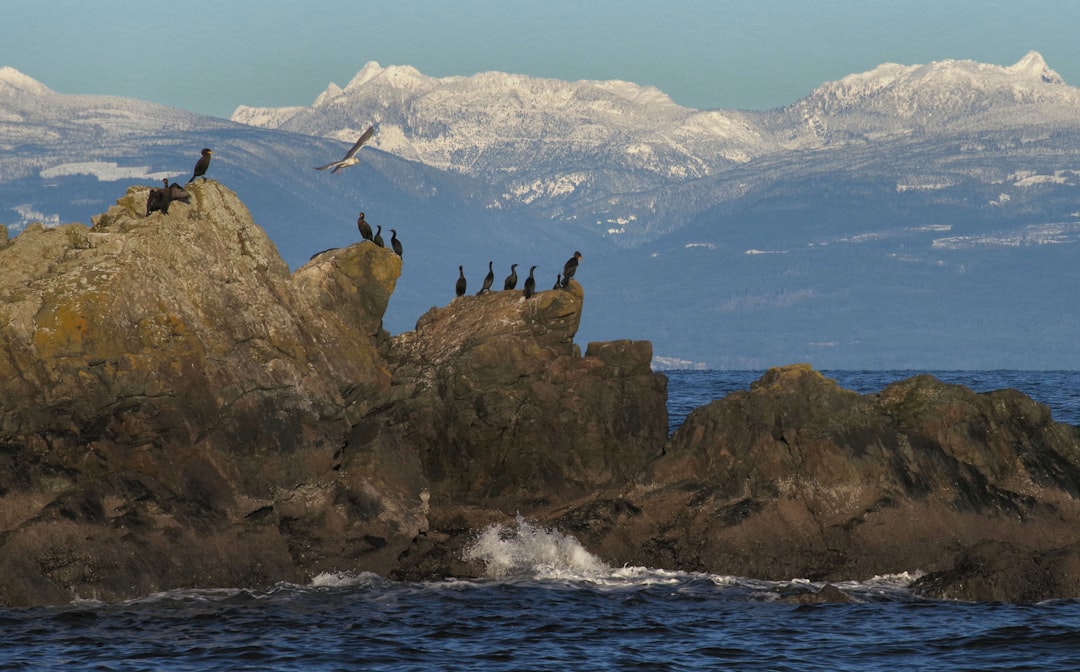 Cliff photo spot Nanaimo Lions Gate Bridge